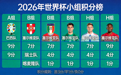 2026年世界杯小组积分榜可视化图表，展示各小组球队排名与积分对比
